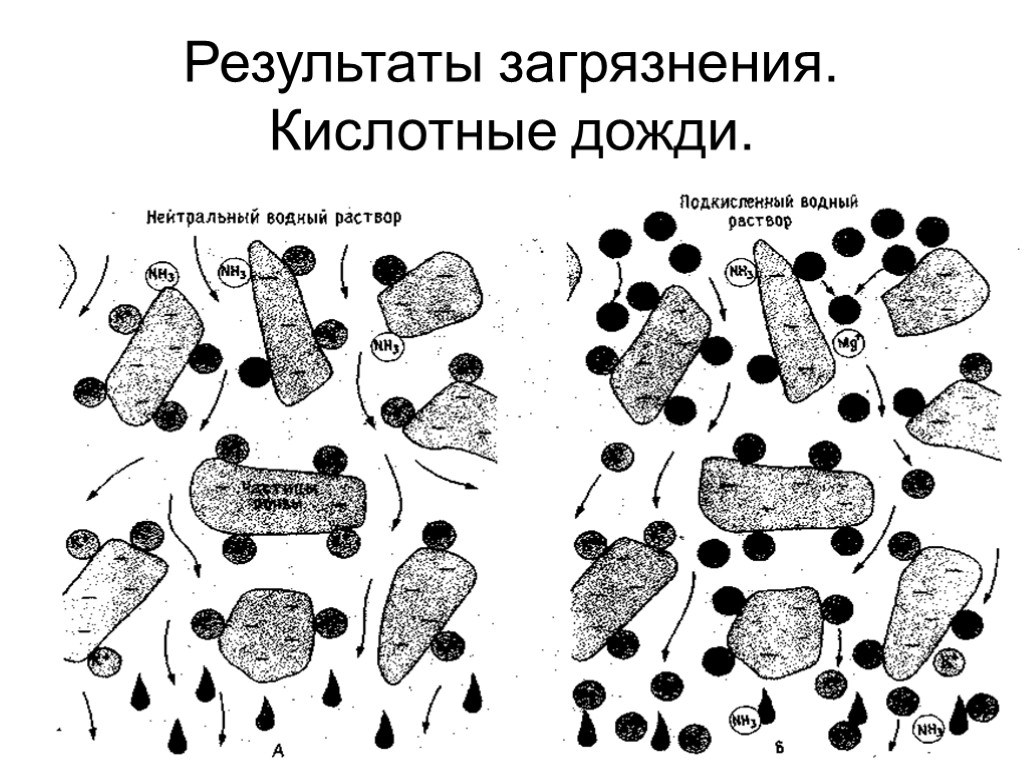 16 Результаты загрязнения. Кислотные дожди.